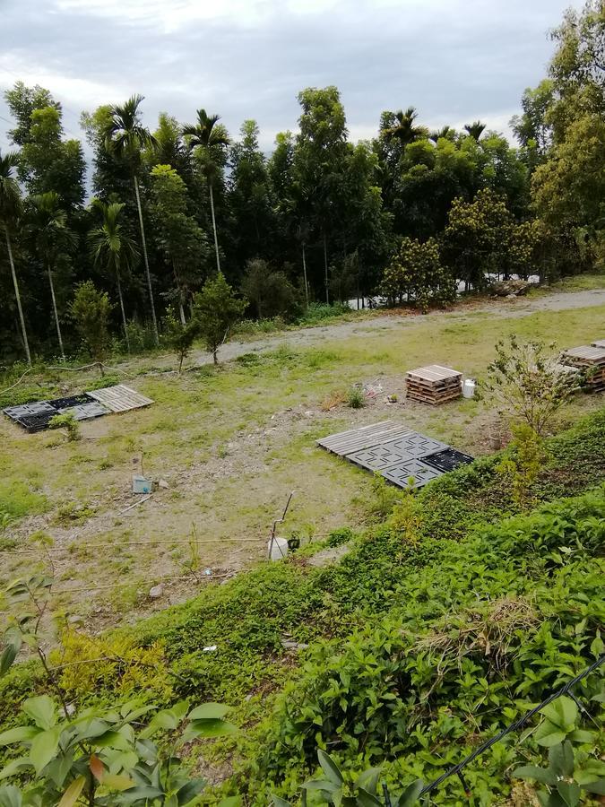 台東民宿 關山桃花心木民宿農場 Kuangsan Kültér fotó