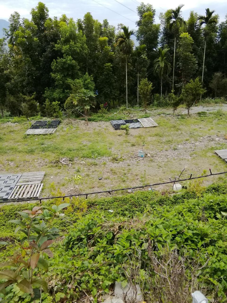 台東民宿 關山桃花心木民宿農場 Kuangsan Kültér fotó