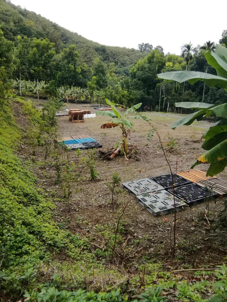 台東民宿 關山桃花心木民宿農場 Kuangsan Kültér fotó